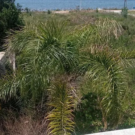 Holiday home Lo Stagnone Da Rosita