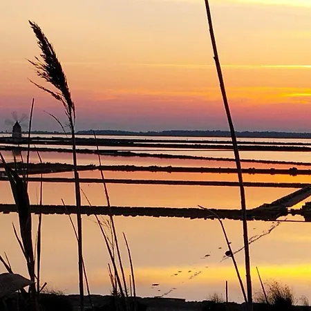 Lo Stagnone Da Rosita Marsala